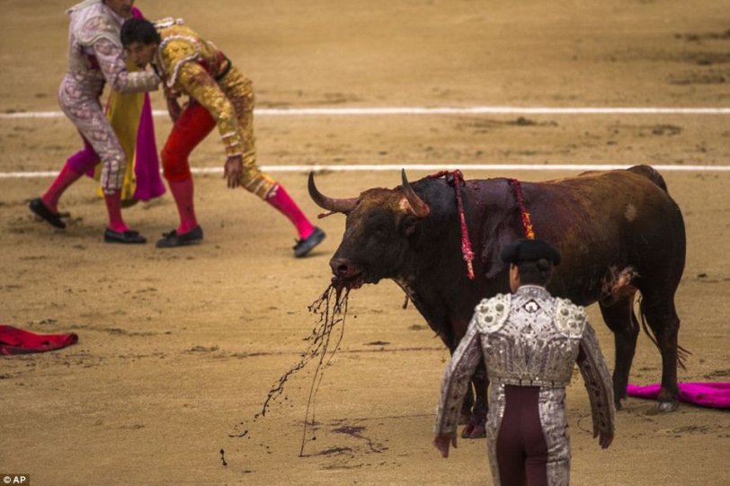 1400683592123_wps_Spanish_bullfighter_Jimen